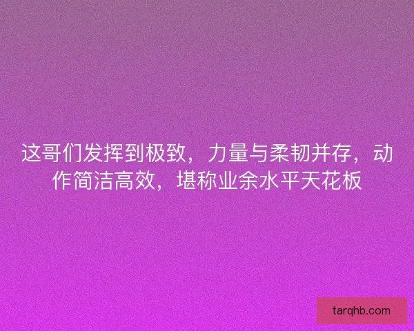 这哥们发挥到极致，力量与柔韧并存，动作简洁高效，堪称业余水平天花板